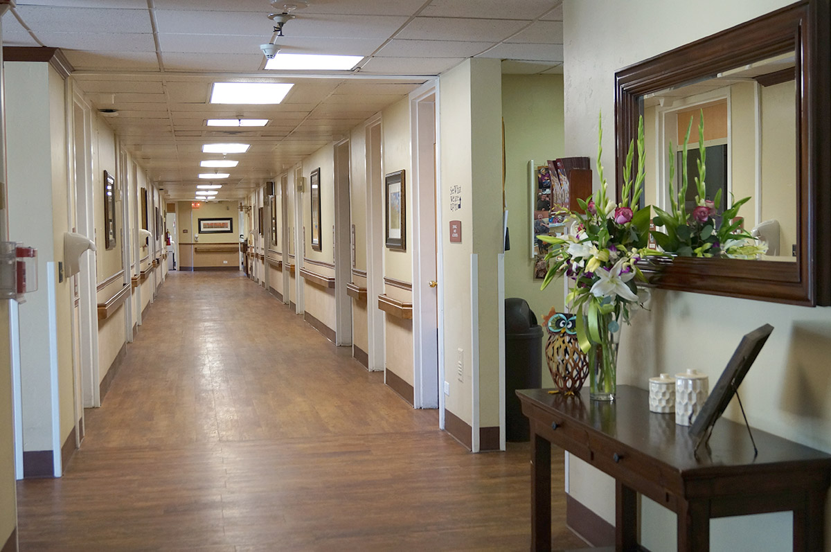 Monument Healthcare Cottonwood Creek — photo 3