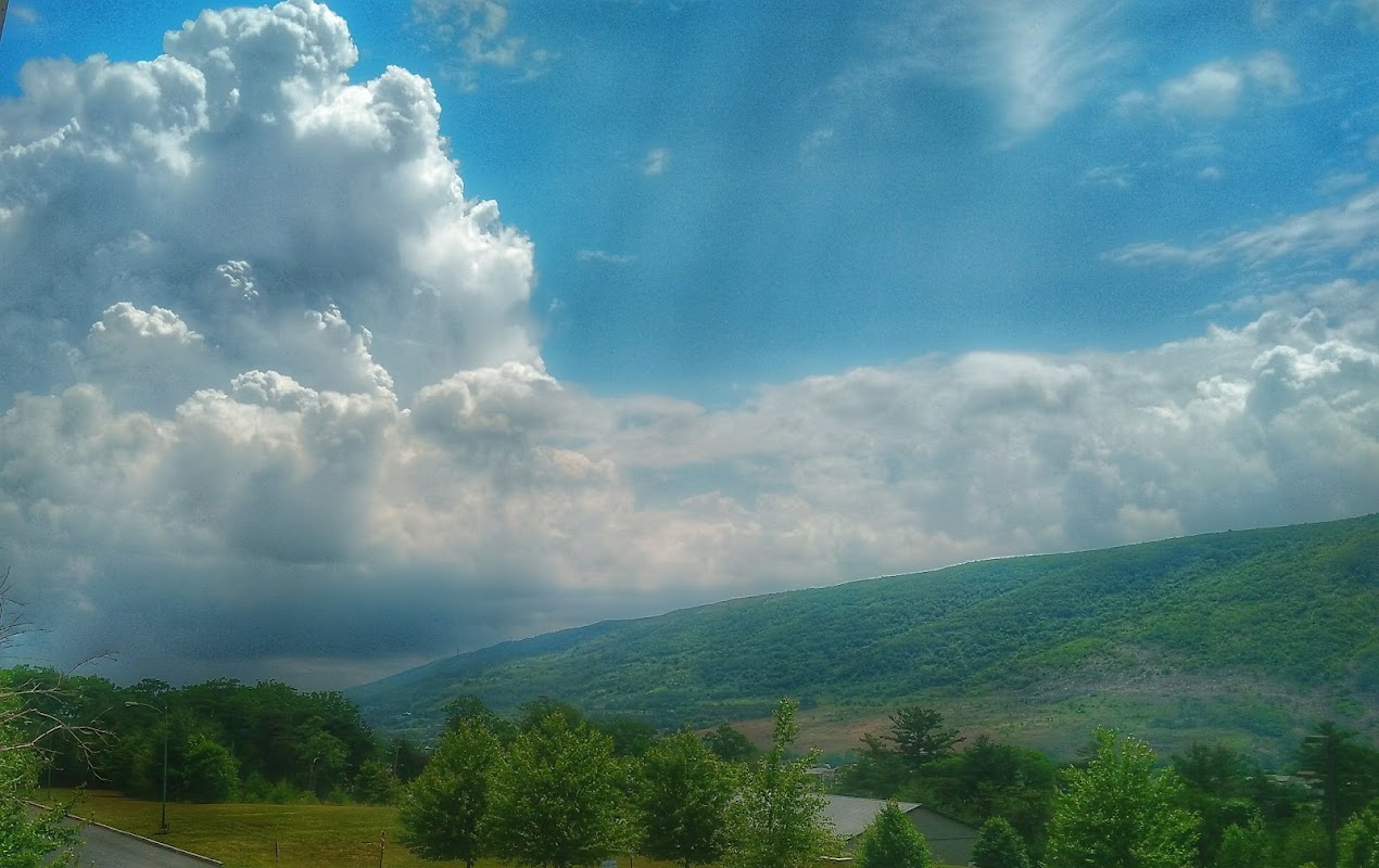 The Palmerton, An Inspirit Senior Living Community — photo 4