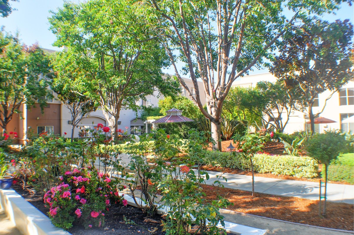 Carlton Plaza of San Leandro — photo 4