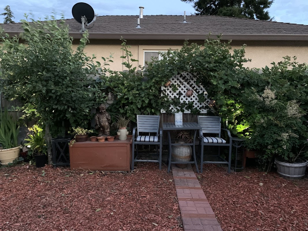 Blossom Garden Senior Home — photo 2