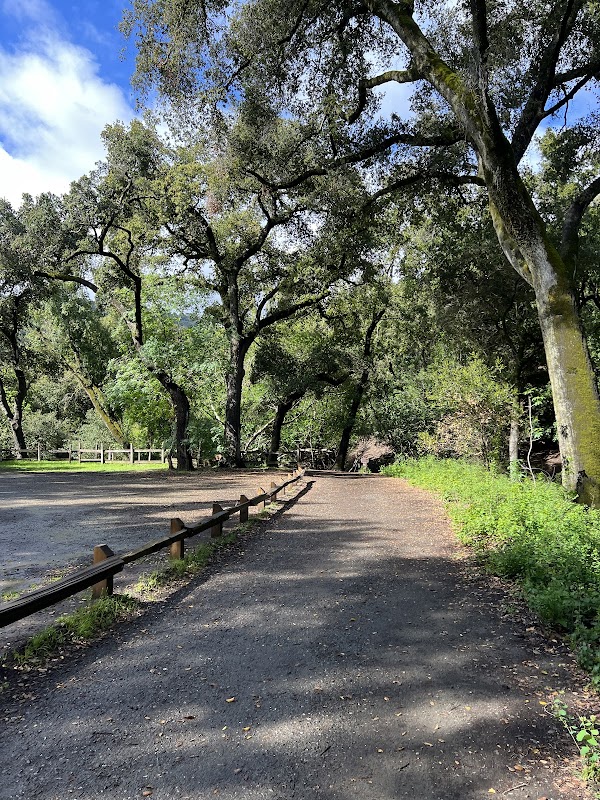 Forum at Rancho San Antonio, the — photo 3