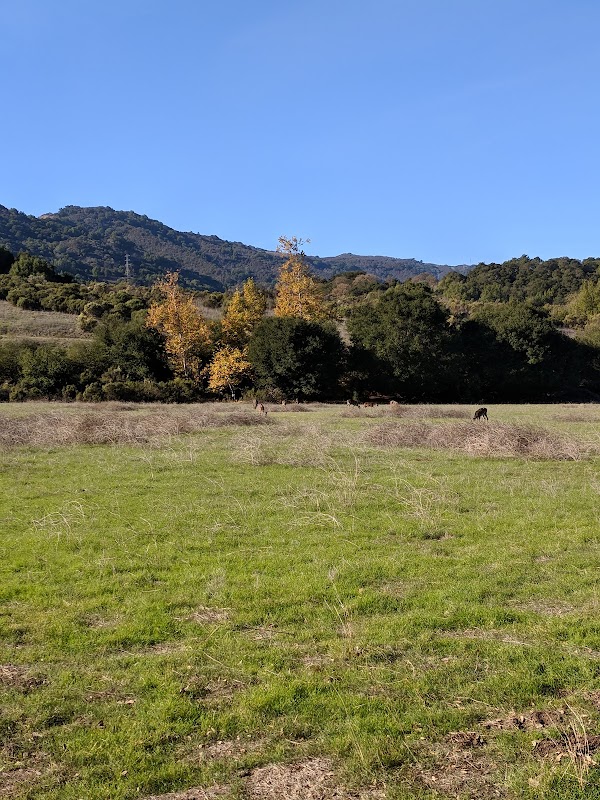 Forum at Rancho San Antonio, the — photo 4