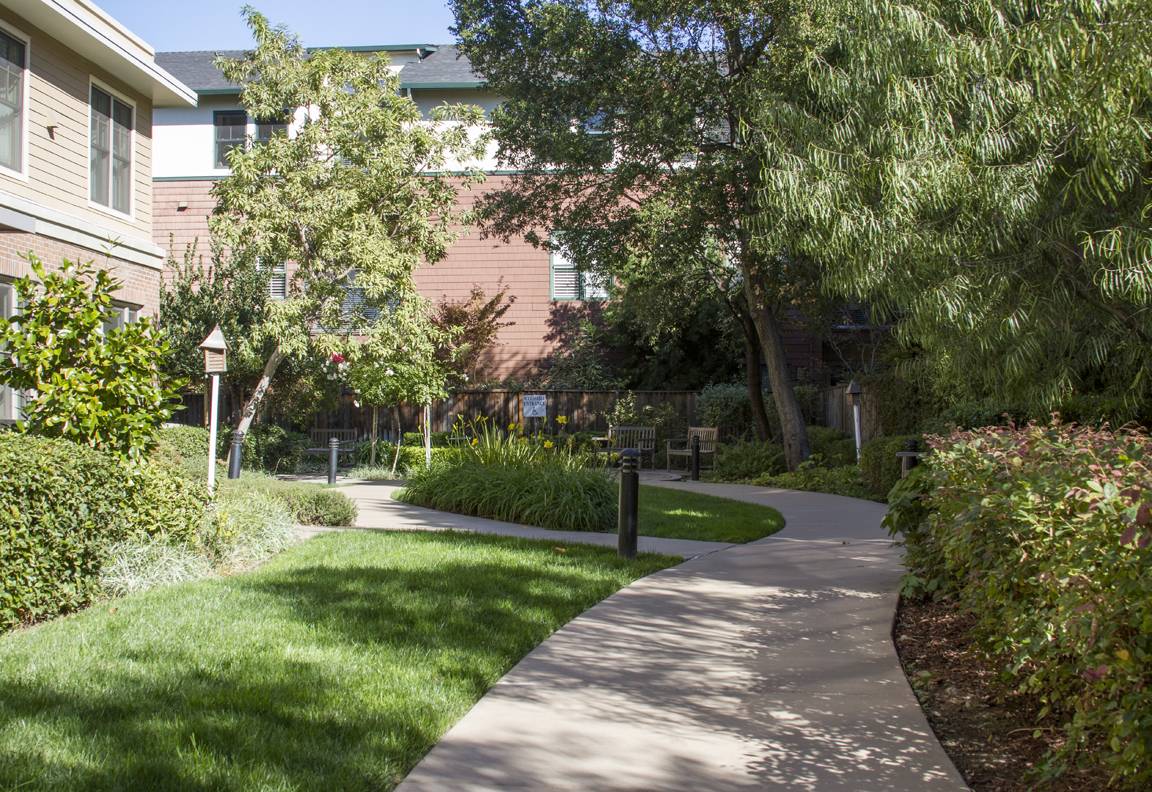 Ivy Park at Palo Alto — photo 4
