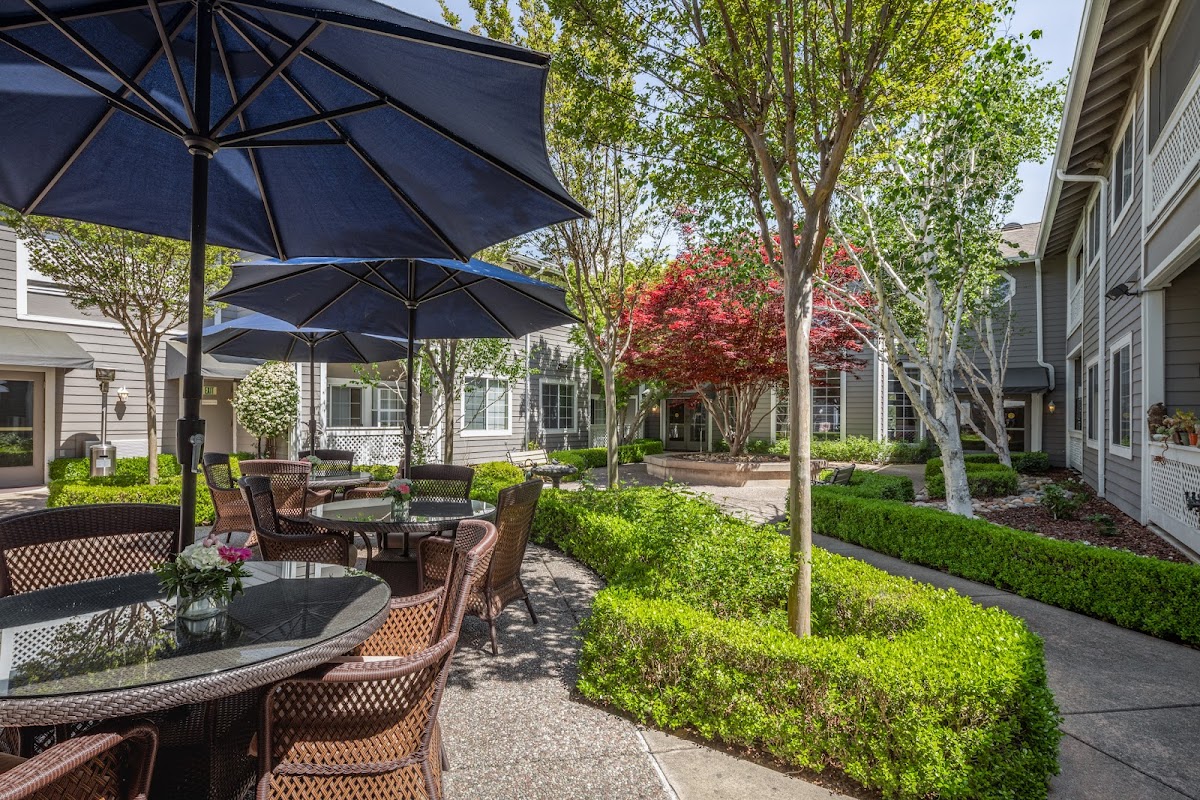 Ivy Park at San Ramon — photo 2