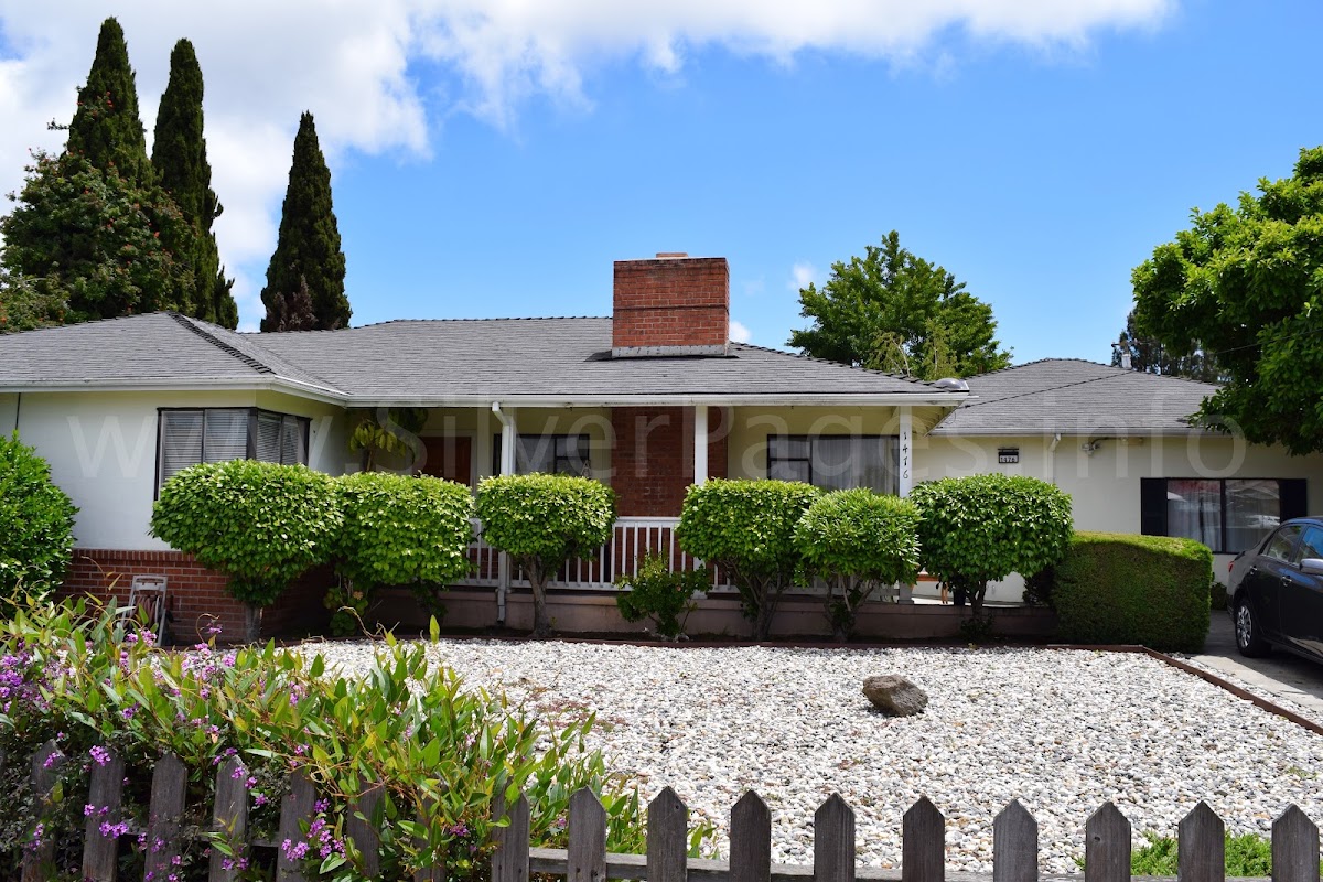 Mori Manor — photo 4