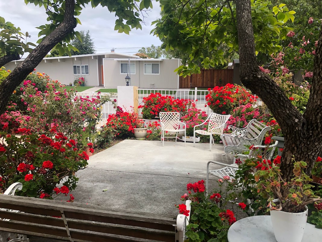 Vanessa Care Home Ii — photo 4
