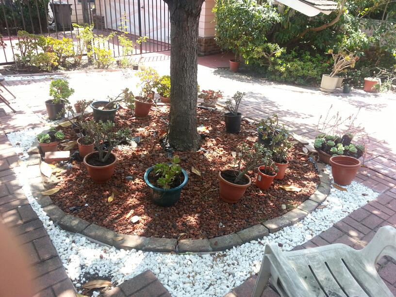 Charitys Residence — photo 2